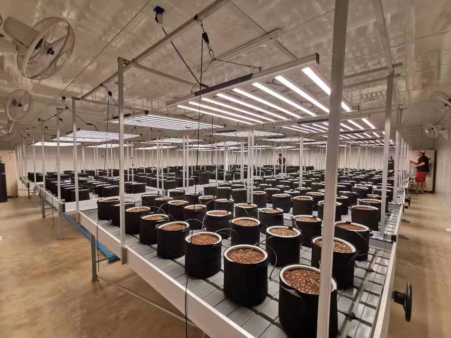 Proyecto HortiBloom - Sistema LED hortícola profesional